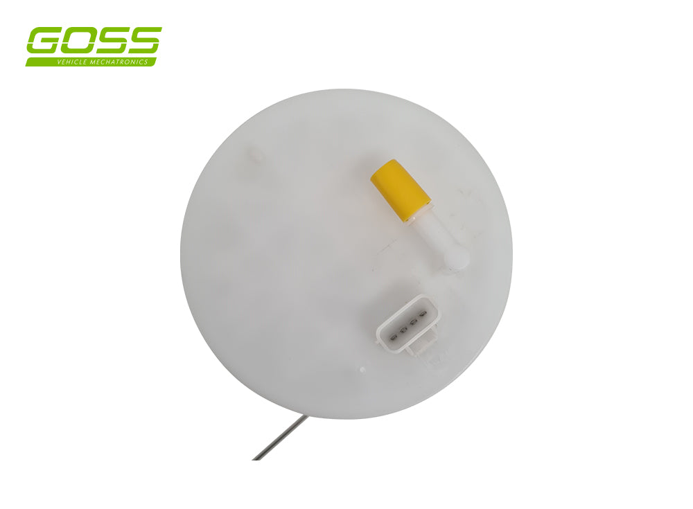 Fuel Pump Module GE613 - Goss