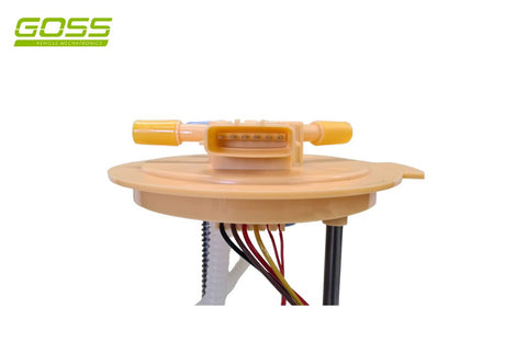 Fuel Pump Module GE636 - Goss