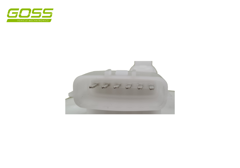 Fuel Pump Module GE645 - Goss