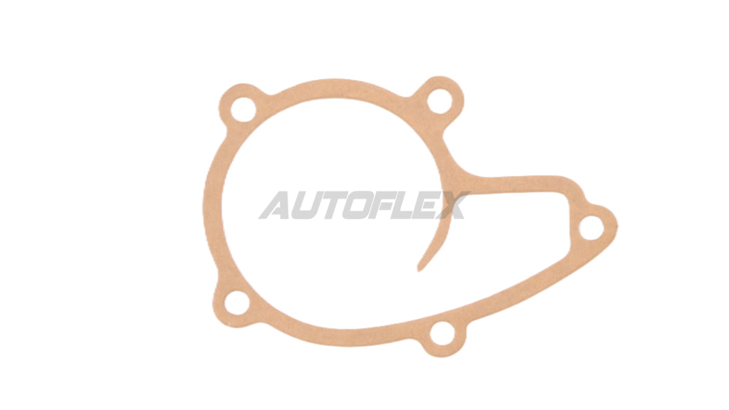 Water Pump Gasket GG1193 - AUTOFLEX