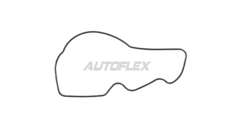 Oil Pump Gasket GG120 - AUTOFLEX