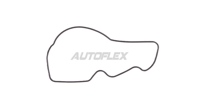 Oil Pump Gasket GG120 - AUTOFLEX