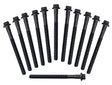Ford Hyda Head Bolt Set HBS146AU - Austral | Universal Auto Spares