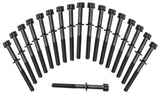 Hyundai D4CB Head Bolt Set HBS242AU - Austral | Universal Auto Spares
