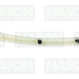 Timing Chain Guide Holden Z14XEP DOHC 16V HCD8 - NASON