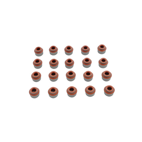 Engine Cylinder Head Gasket Set Fit For Volvo C30 C70 S40 S60 V50 V60 2.5L L5 DOHC Turbocharged 2004-2015 HGKIT-VOL001 - Machter