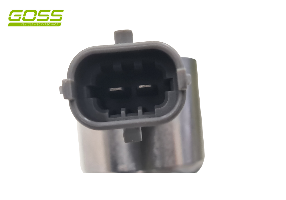 High Pressure Fuel Pump HPF114 - Goss