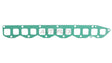 Extractor Gasket HSM22 - AUTOFLEX
