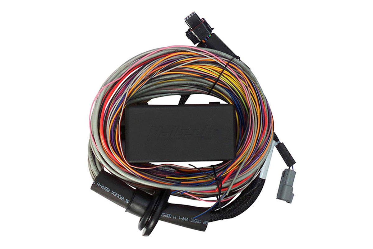 Aussie Convertion Kit Elite 550 + Premium Universal Wire-In Harness Kit HT150404 - Haltech ...