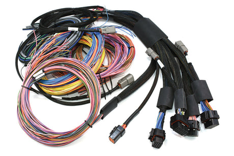 Nexus R5 + Universal Wire-In Harness Kit - 5M / 16' HT195201 - Haltech