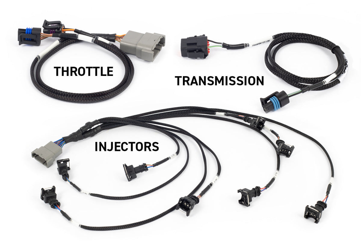 Nexus Rebel LS - Suits GEN III HT220201 - Haltech - Engine Control Units & Modules - Haltech