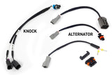Nexus Rebel LS - Suits GEN III HT220201 - Haltech - Engine Control Units & Modules - Haltech
