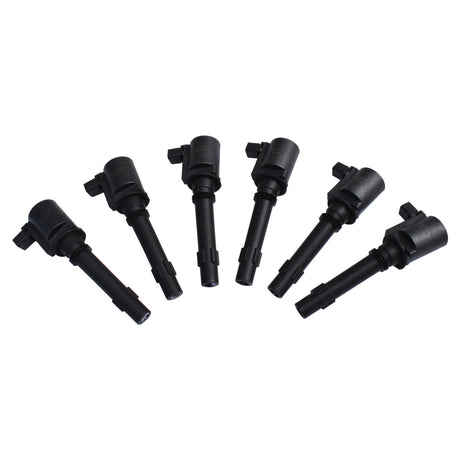 Ignition Coil Fit For Ford Falcon Fairmont Fairlane LTD BA BF XR6 Territory SY SX 6pcs IC-FD001M-6PCS - Machter