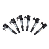 Ignition Coils Fit For Holden Commodore VZ Colorado RC Statesman WL Rodeo V6 3.6L 6pcs IC-HLN004M-6PCS - Machter