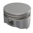 Piston & Pin Set (Performance) HOLDEN 5.0L 304 F/T FORGED 8IC698-030 - ICON
