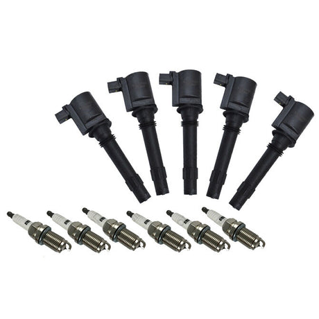 6 Pieces Ignition Coil Pack Fit For Ford BA BF Falcon Territory 6cyl 4.0L Petrol - Machter