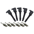 6 PCS Ignition Coil Pack Fit For Ford BA BF Falcon Territory 6cyl 4.0L Petrol ICKIT-FD001M - Machter