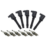6 PCS Ignition Coil Pack Fit For Ford BA BF Falcon Territory 6cyl 4.0L Petrol ICKIT-FD001M - Machter