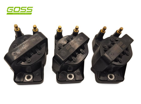 DFI Mod + 3 Coils + DFI Plug IM021KIT - Goss