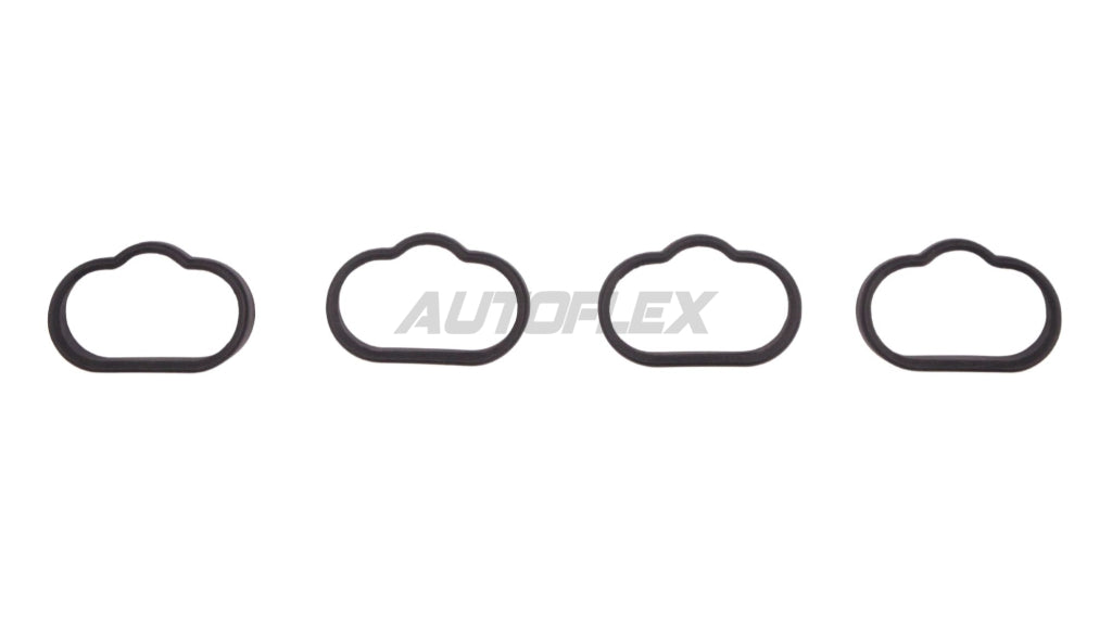 Intake Manifold IMS200 - AUTOFLEX