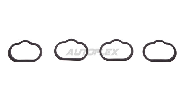 Intake Manifold IMS200 - AUTOFLEX