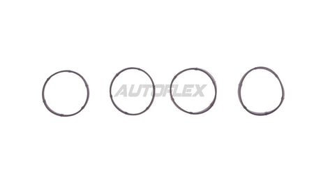 Intake Manifold IMS671 - AUTOFLEX