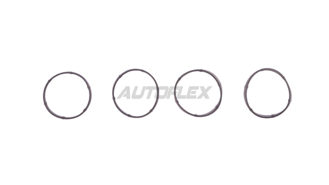 Intake Manifold IMS671 - AUTOFLEX