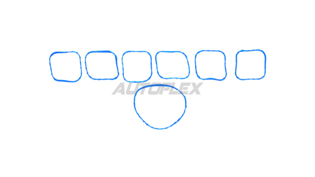 Plenum Gasket IMS724 - AUTOFLEX