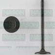 Valve Inlet MITS 4D55/6 SQ HD IN0320 - NASON