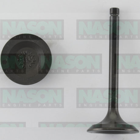 Valve Inlet TOYOTA 1RZ 2RZ 4CYL INLET IN0580 - Nason