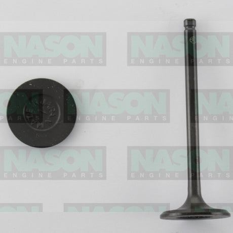 Valve Inlet TOYOTA 1UZ-FE LEXUS 1989-ON IN0619 - Nason