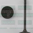 Valve Inlet SUBARU EJ20G FLAT 4 DOHC 16V 1 IN0622 - NASON
