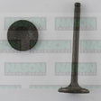 Valve Inlet SUZUKI H20A IN0657 - NASON