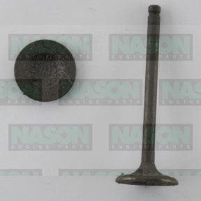 Valve Inlet SUZUKI H20A IN0657 - NASON