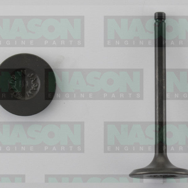 Valve Inlet SUZUKI J18A J20A H25A H27A IN0658 - NASON