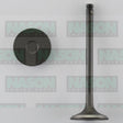 Valve Inlet FORD MONDEO H20 ZETEC DOHC 16V IN1021 - Nason