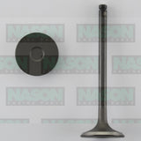 Valve Inlet FORD MONDEO H20 ZETEC DOHC 16V IN1021 - Nason
