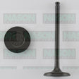 Valve Inlet TOYOTA 1ZZ-FE RAV 4X4 CELICA IN1169 - Nason