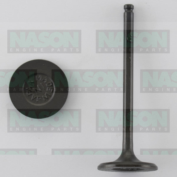 Valve Inlet TOYOTA 1ZZ-FE RAV 4X4 CELICA IN1169 - Nason