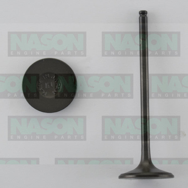 Valve Inlet HONDA H22A1 H22A4 DOHC 4V VTi- IN1641 - NASON