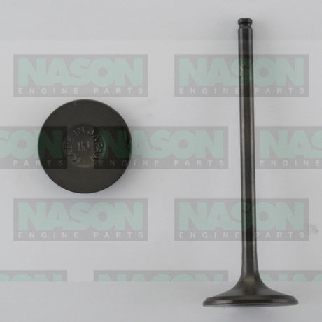 Valve Inlet HONDA H22A1 H22A4 DOHC 4V VTi- IN1641 - Nason