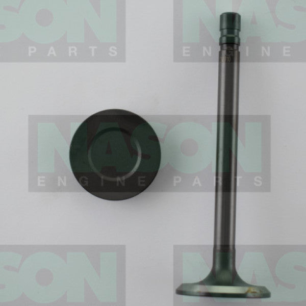 Valve Inlet HOLDEN 6 RED IN1710 - NASON