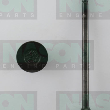 Valve Inlet TOYOTA 1HD-FTE IN1739 - Nason