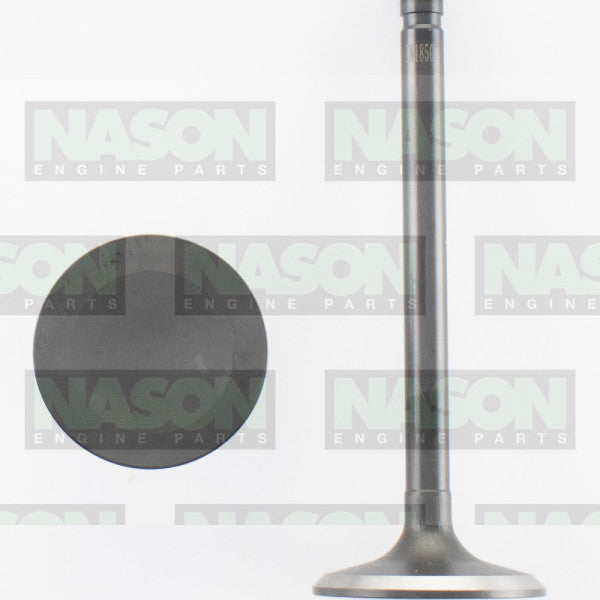 Valve Inlet FORD 302/351 WINDSOR IN1850 - NASON
