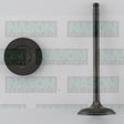 Valve Inlet TOYOTA 1NZ-FE 2NZ-FE DOHC IN1885 - NASON