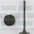 Valve Inlet TOYOTA 3ZZ-FE 4ZZ-FE IN1887 - NASON