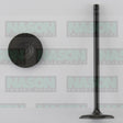 Valve Inlet TOYOTA 2ZZ-GE 16V IN1889 - NASON