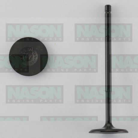 Valve Inlet TOYOTA 2ZZ-GE 16V IN1889 - Nason