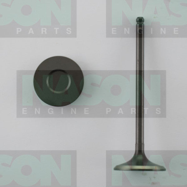 Valve Inlet TOYOTA 1AZ-FE 2AZ-FE CAMRY IN1897 - NASON