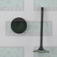 Valve Inlet TOY L/CRUISER 2UZ 3UZFE 100SER IN1901 - NASON